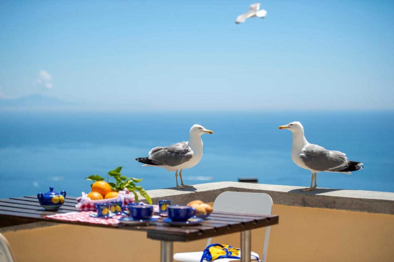 דירות פוזיטנו Casa Licia מראה חיצוני תמונה
